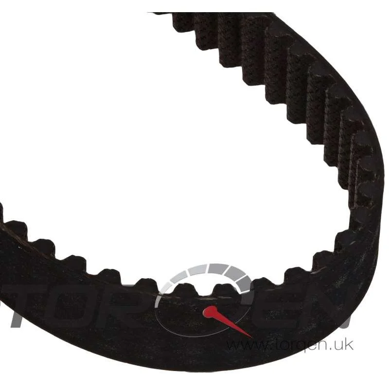 torqen1-905142