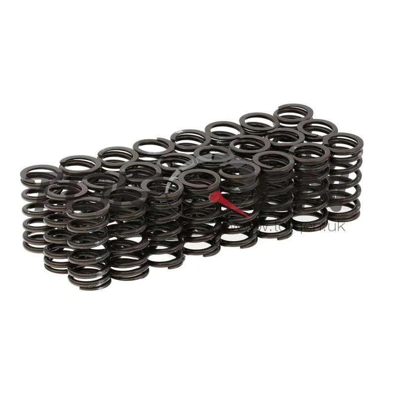 torqen1-917769