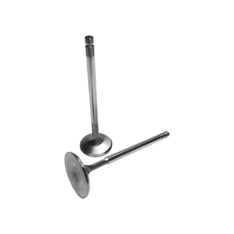 torqen1-926141